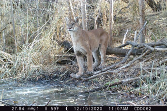 1107:121020:59F:2784:CDD062 :7E[119:0190]G[008:0x0006]