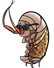 Herrmann_Snyder_illustration_blog