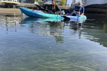 Walsh_DanaMatthewCollectingSamples