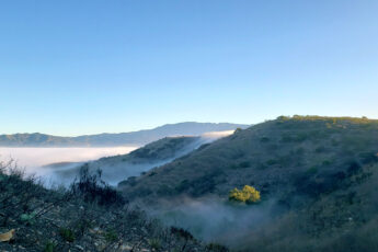 delaCruz_20211106_081925